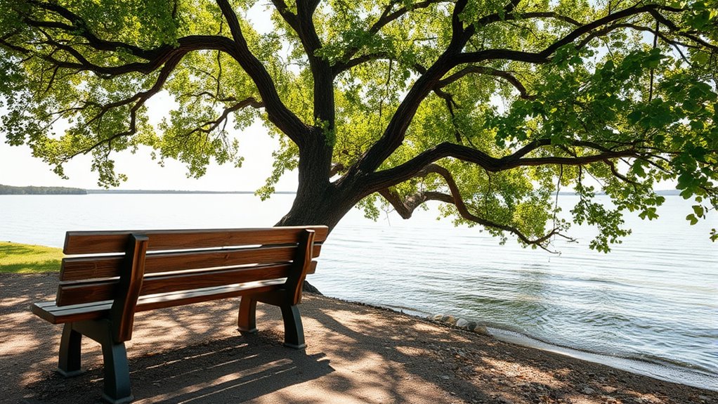 maximize liquidity and yields