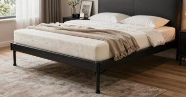 heavy duty adjustable bed frames