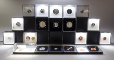 top coin photo light boxes