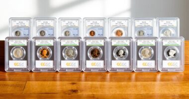 top coin slab storage cases