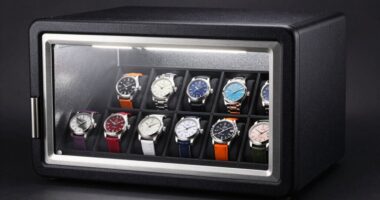 top collectible watch safes
