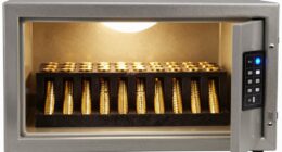 top gold coin storage safes