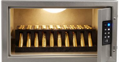 top gold coin storage safes