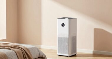 top hepa purifiers for bedrooms