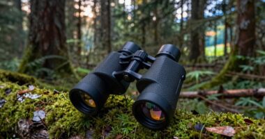 top high end wildlife binoculars