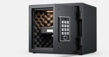 top internal lock safe options