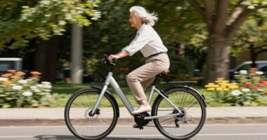 top senior electric bikes