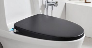 top smart bidet seats