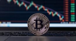 bitcoin gains as yields drop