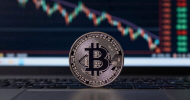 bitcoin gains as yields drop