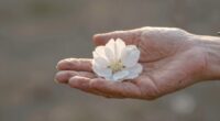 clarity gains importance over time