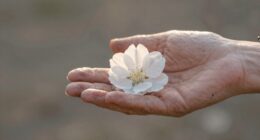 clarity gains importance over time