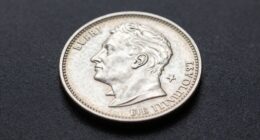 coin photography for insurance