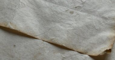 moisture causes paper deterioration