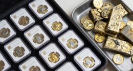 protection for valuable collectibles