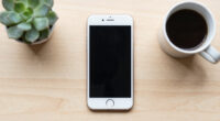 Apple Is Reaching For Chinese Memory. Europe Doesn’t Even Have That Option.