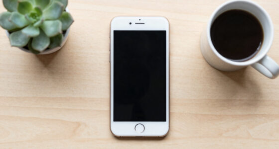 Apple Is Reaching For Chinese Memory. Europe Doesn’t Even Have That Option.
